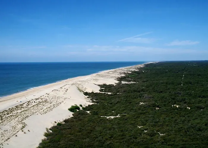 Bonne Anse La Palmyre